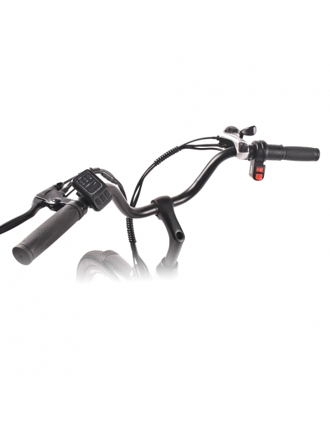 MYATU MYT-TYY Bicicletta elettrica motore 350W batteria 36V 15Ah pneumatici 26*1.95'' velocità massima 25km/h - Bianco Presa