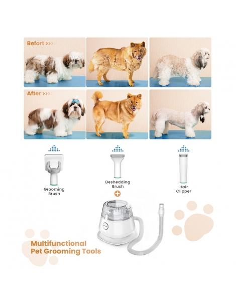 INSE P20 Tagliacapelli 5 in 1 per cani aspiratore tagliacapelli per animali domestici Novità