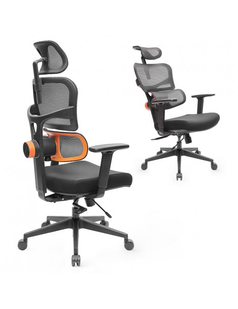 NEWTRAL Sedia Standard NT001 Sedia ergonomica adattiva con supporto per la parte bassa della schiena Pezzi Unici
