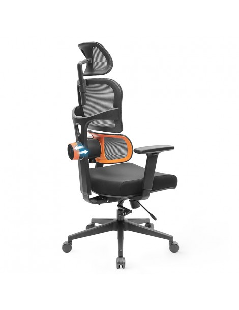 NEWTRAL Sedia Standard NT001 Sedia ergonomica adattiva con supporto per la parte bassa della schiena Pezzi Unici