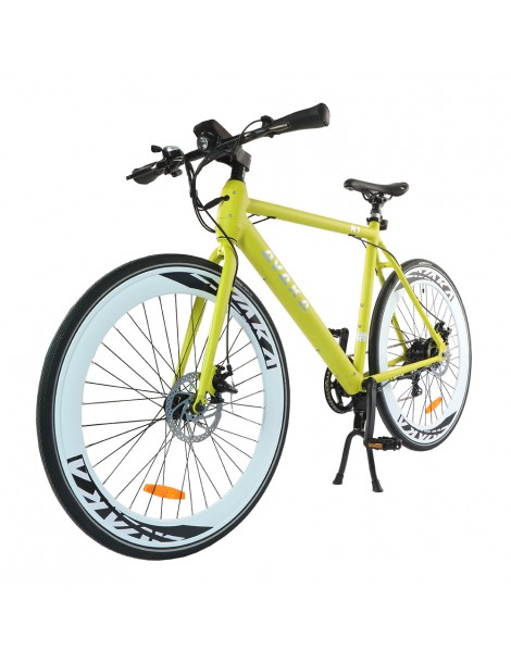 AVAKA R1 Bicicletta elettrica 250W Motore Batteria 9Ah- Verde Qualità