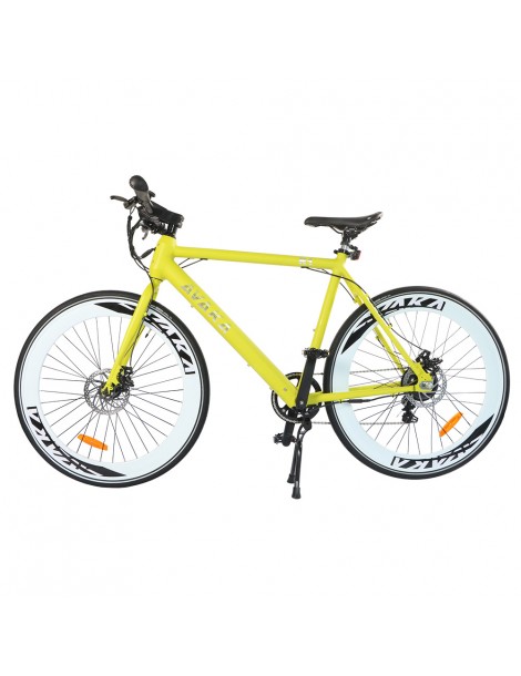 AVAKA R1 Bicicletta elettrica 250W Motore Batteria 9Ah- Verde Qualità
