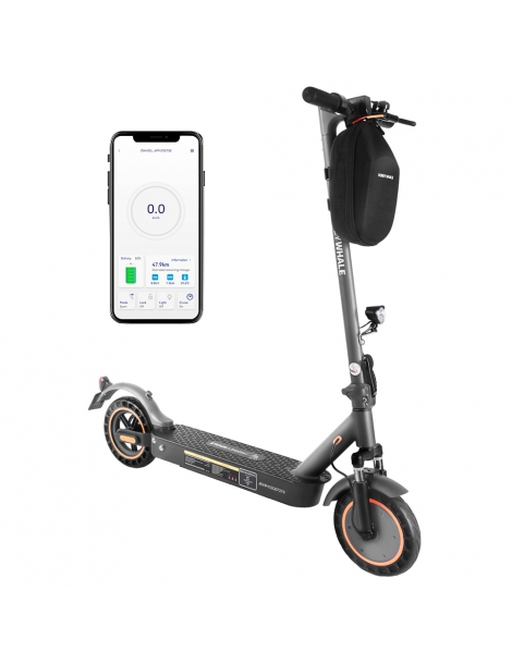 HONEYWHALE E9 MAX con omologazione stradale (ABE) scooter elettrico pieghevole con motore da 500W batteria da 36V 10Ah Economico