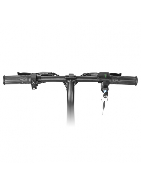 LAIFOOK Dolphin Bici Elettrica Pieghevole Motore 250W Batteria 36V 7.8AH Pneumatico 14 pollici - Nero Vendita Calda