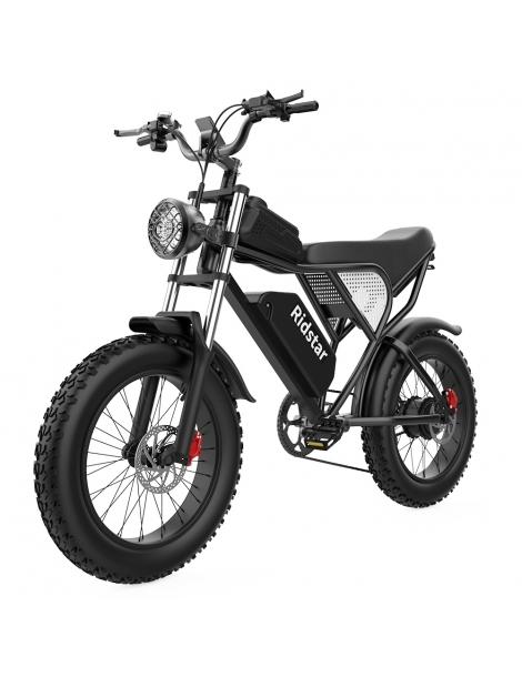 Ridstar Q20 Electric Bike 1000W Brushless Motor 20*4 Inch Fat Tires 48V 20Ah Removable Battery 30mph Max Speed In Vendita