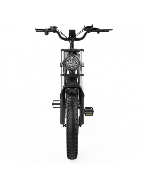 Ridstar Q20 Electric Bike 1000W Brushless Motor 20*4 Inch Fat Tires 48V 20Ah Removable Battery 30mph Max Speed In Vendita