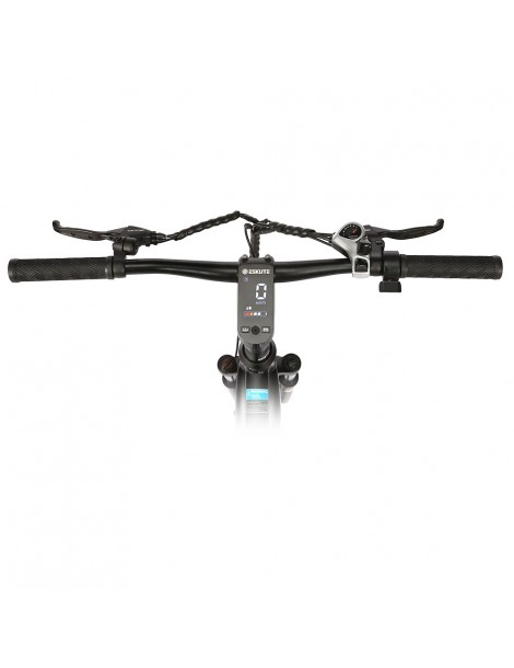 ESKUTE Netuno Bicicletta elettrica urbana 250W Bafang Motore a mozzo posteriore 36V 14.5Ah Batteria 65 miglia di autonomia Offerte