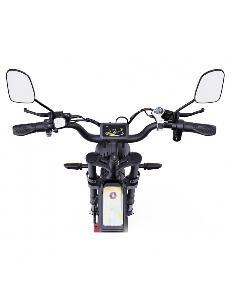 Ridstar Q20 Pro Off-road bicicletta elettrica doppia 1000W motore 52V 20AH doppia batteria Vendita Calda