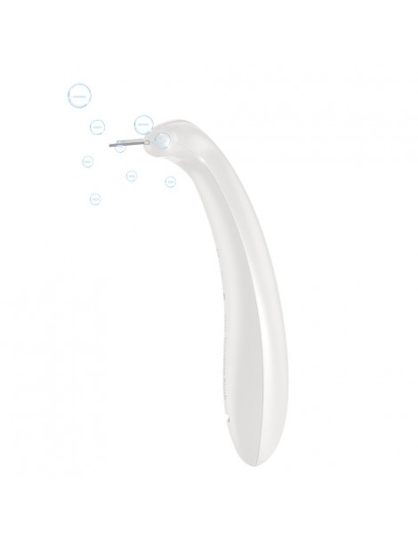 Pettine per Peli di Animali Domestici con Tre Pettini Sostituibili da 0 8 mm 1 0 mm e 1 5 mm Leggero e Confortevole Vendita