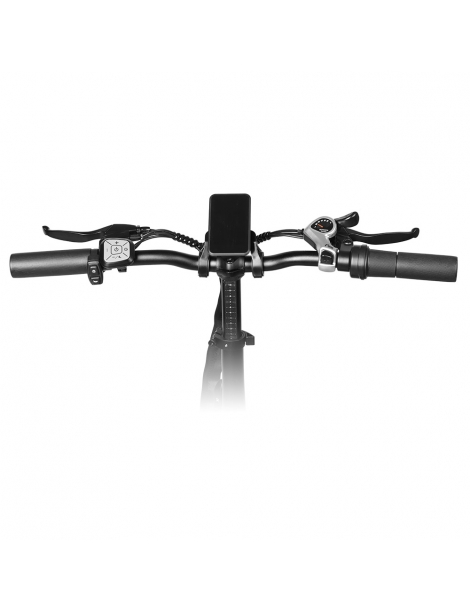 LAIFOOK Cityfun S Bicicletta elettrica pieghevole motore 250W batteria da 48V 10.4AH pneumatici grassi da 20 x 4.0" - Nero Vendita Calda