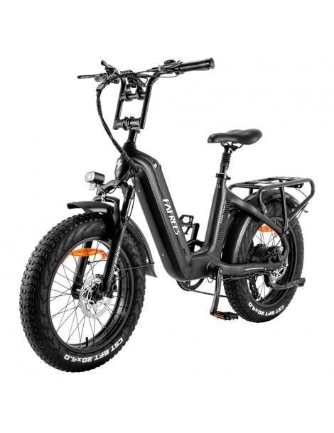 FAFREES F20 Master E-bike 20*4.0 pollici pneumatico 500W trazione posteriore 25km/h velocità massima-Nero Vendite Flash