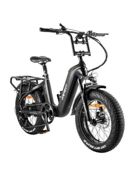 FAFREES F20 Master E-bike 20*4.0 pollici pneumatico 500W trazione posteriore 25km/h velocità massima-Nero Vendite Flash