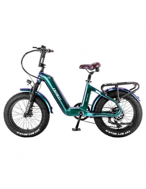 FAFREES F20 Master E-bike 20*4.0 pollici pneumatico 500W trazione posteriore 25km/h velocità massima-Verde Negozio