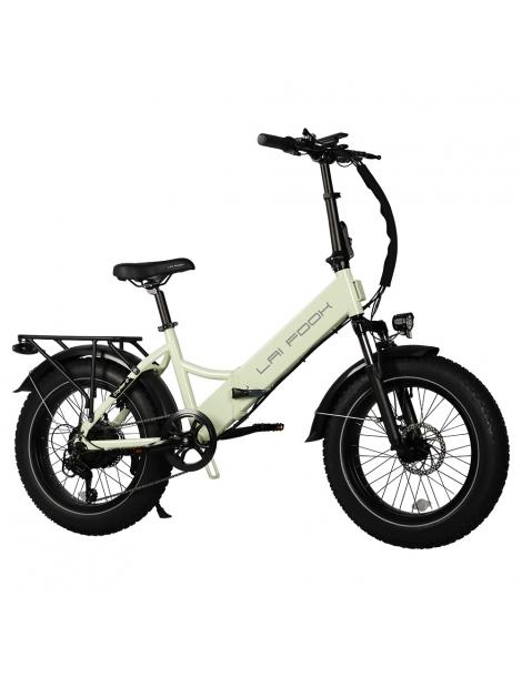 LAIFOOK Cityfun S Bicicletta elettrica pieghevole motore da 250W batteria da 48V 10.4AH pneumatici grassi da 20*4.0" - Verde Offerta speciale