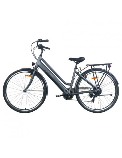 GOGOBEST GM28 Bicicletta elettrica 36V 350W Motore Batteria 10.4Ah-Grigio Esporta salva