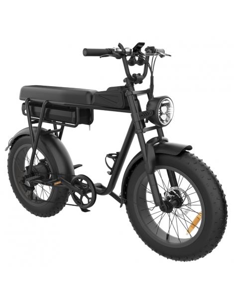 YAMALI FXH-006 Bicicletta elettrica Motore 1000W Batteria 48V 20Ah Pneumatici grassi 20*4'' Velocità massima 50km/h - Nero Fino Al -60%