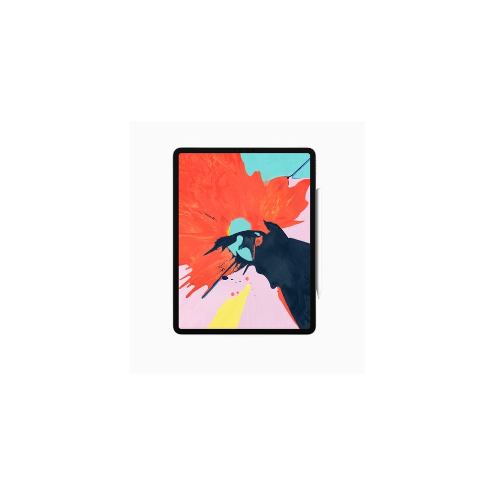 APPLE USATO PREMIUM iPad Pro 12 9" (2018 - 3th gen) Wi-Fi - 64GB Argento - USATO GRADO A Hotsell