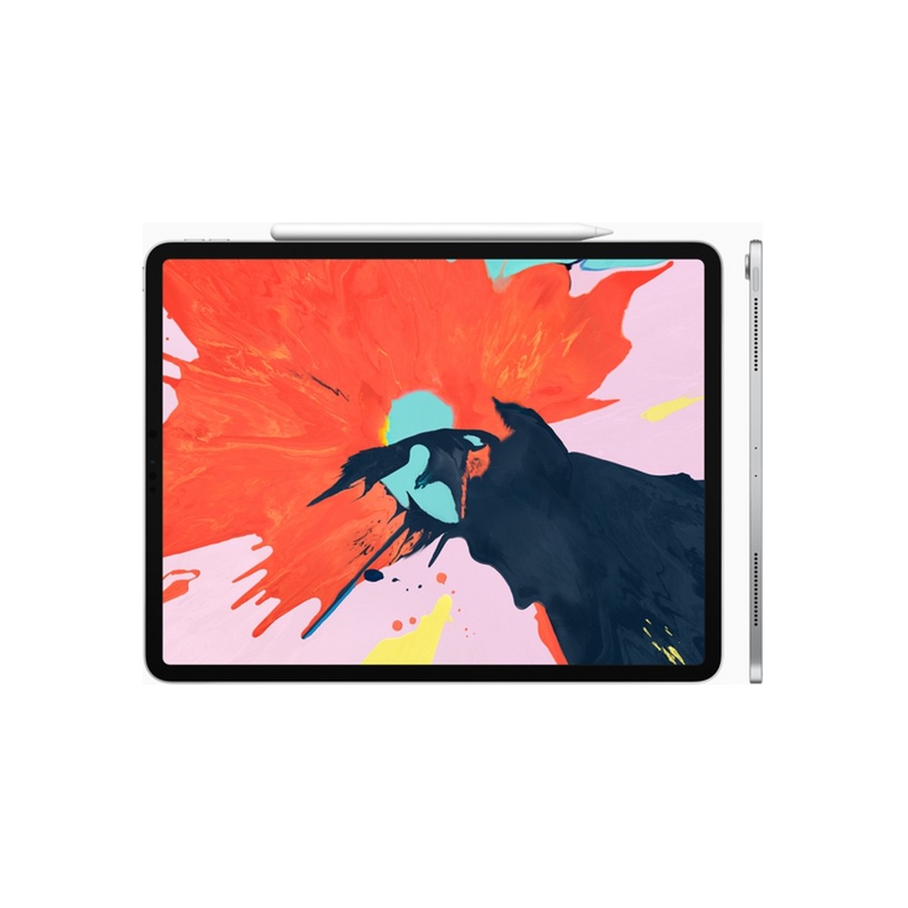 APPLE USATO PREMIUM iPad Pro 12 9" (2018 - 3th gen) Wi-Fi - 64GB Argento - USATO GRADO A Hotsell