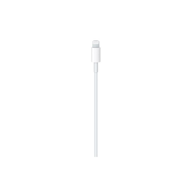 APPLE Cavo Apple Lightning a USB-C Sconto