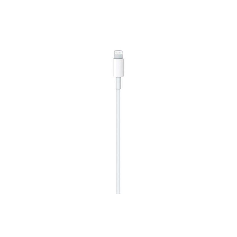 APPLE CAVO APPLE LIGHTNING USB-C In Linea