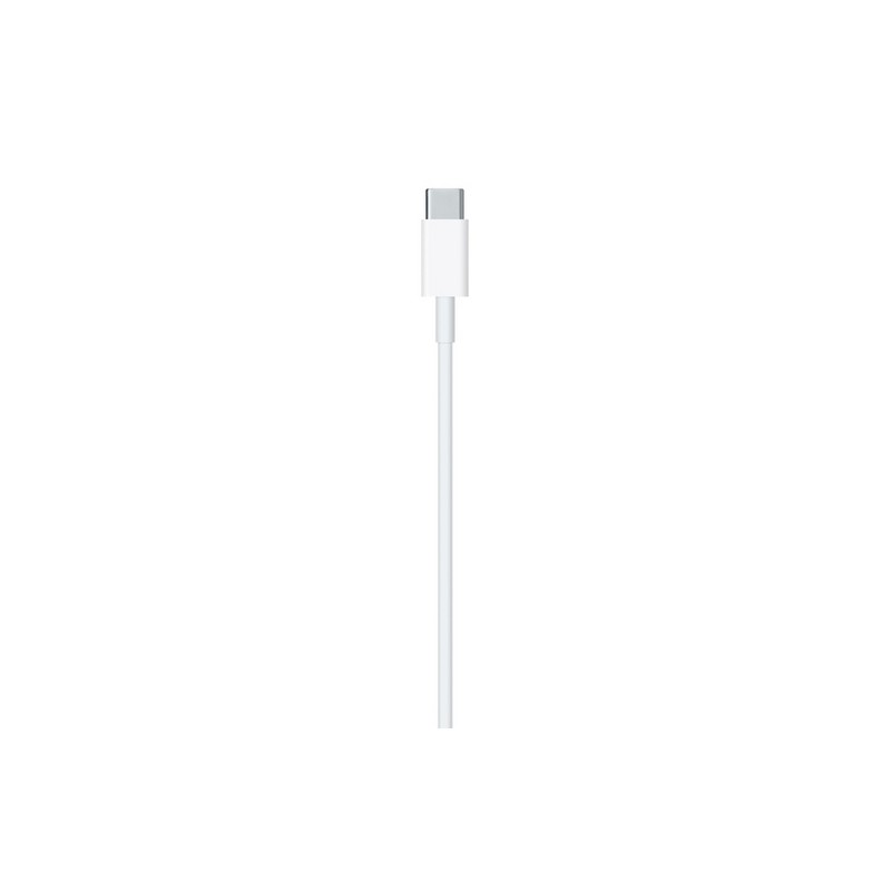 APPLE CAVO APPLE LIGHTNING USB-C In Linea