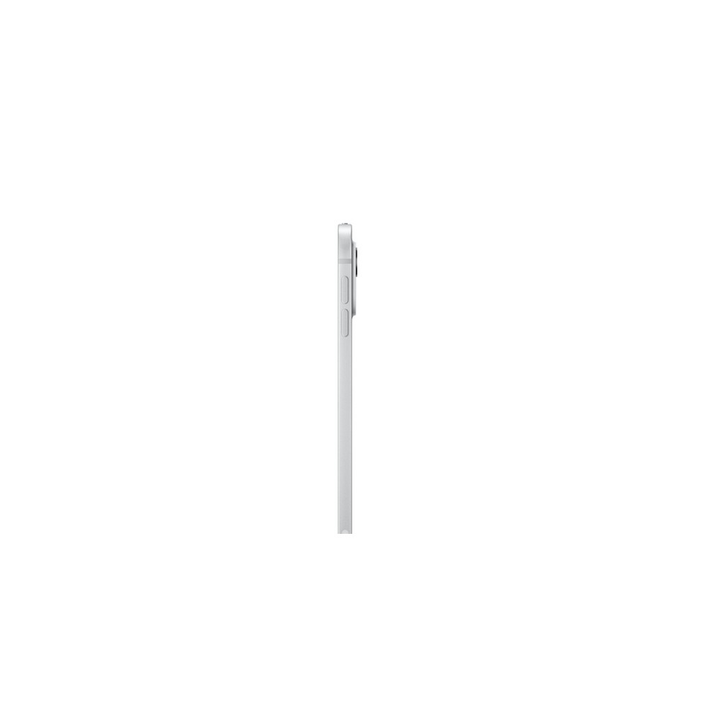 APPLE iPad Pro 11" WI-FI + Cellular 1TB Vetro Nanotexture In vendita