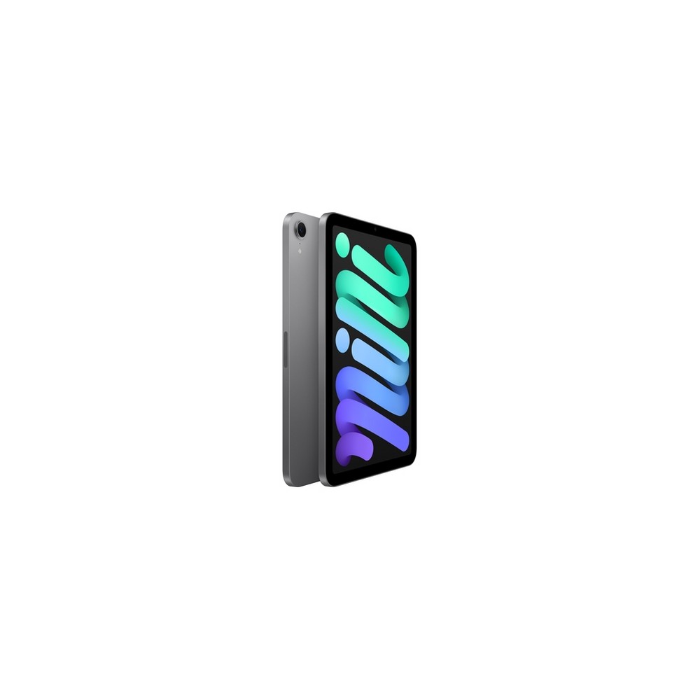 APPLE iPad mini Wi-Fi 256GB Promozione