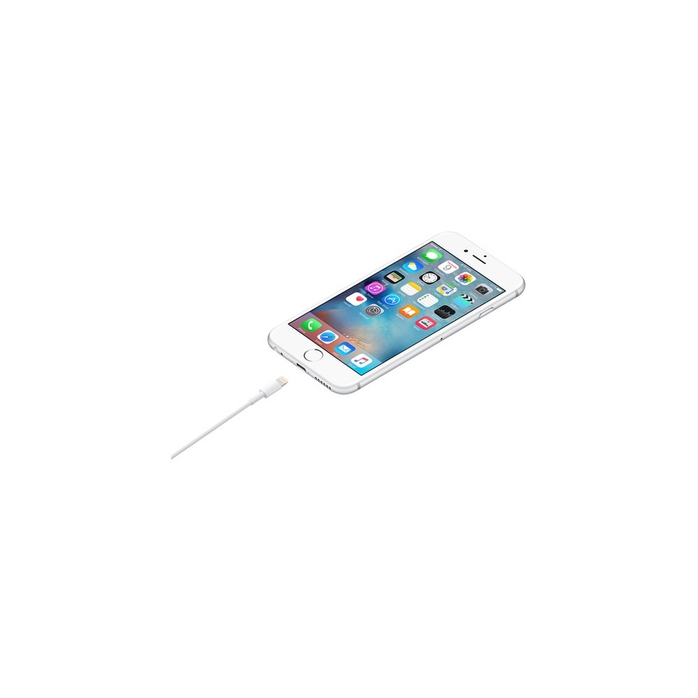 APPLE CAVO APPLE DA LIGHTNING A USB Black Friday